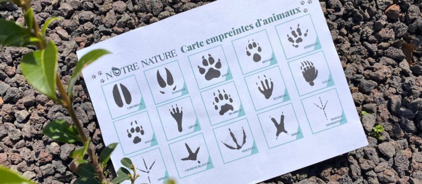 carte-empreintes-animaux-site.jpg