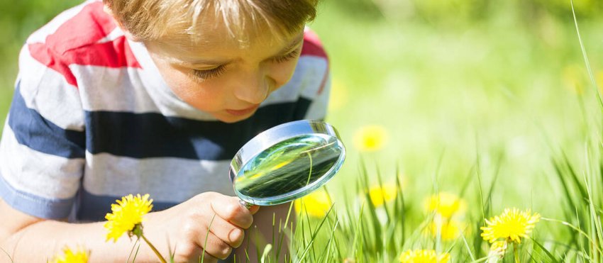 child-with-magnifying-glass-and-dandelions-site.jpg