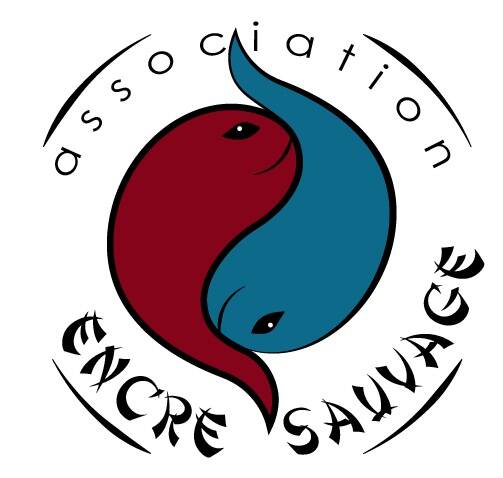 logo-encre-sauvage-bicolore.jpg
